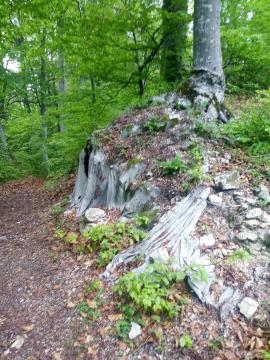 Ostanki temeljev obzidja na Zidanem gabru